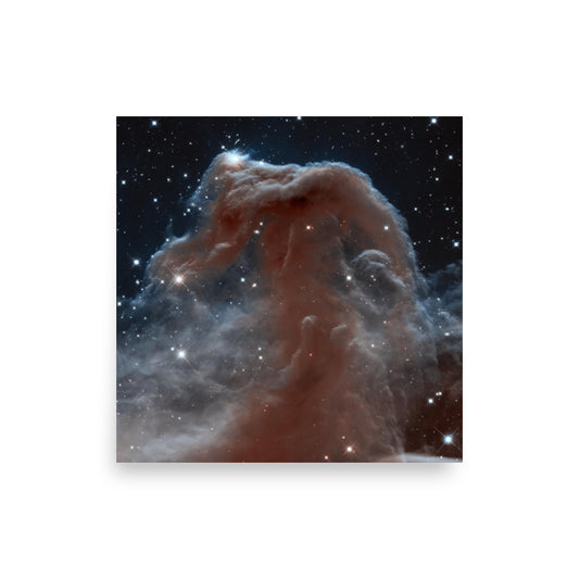 Hubble Sees a Horsehead of a Different Color by NASA Image and Video Library